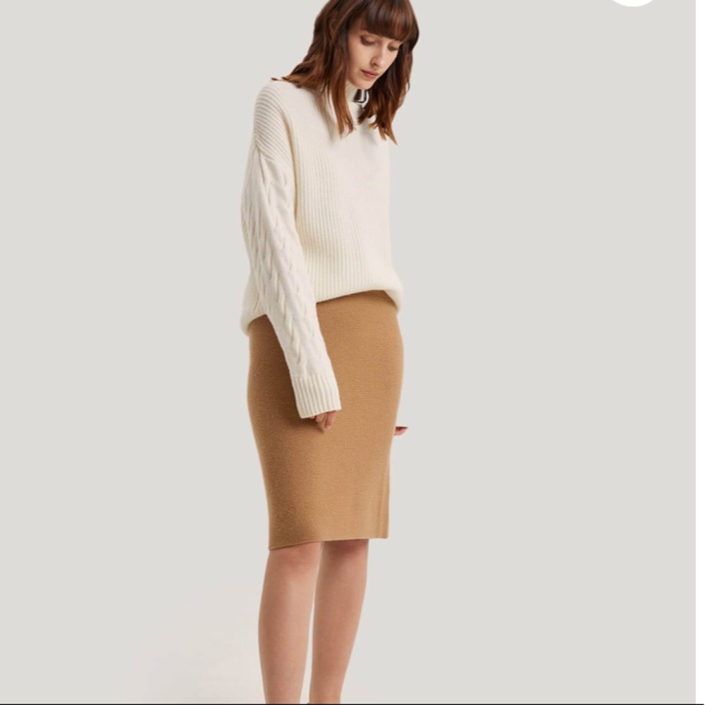 The Limited Collection Beige Lined Pencil Skirt Size 2